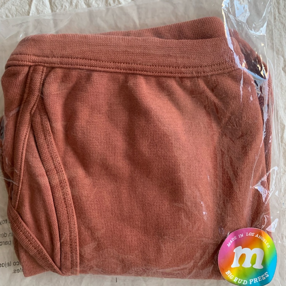 Big Bud Press unisex Classic Briefs- 2 pairs New in package Size Medium - Picture 5 of 8